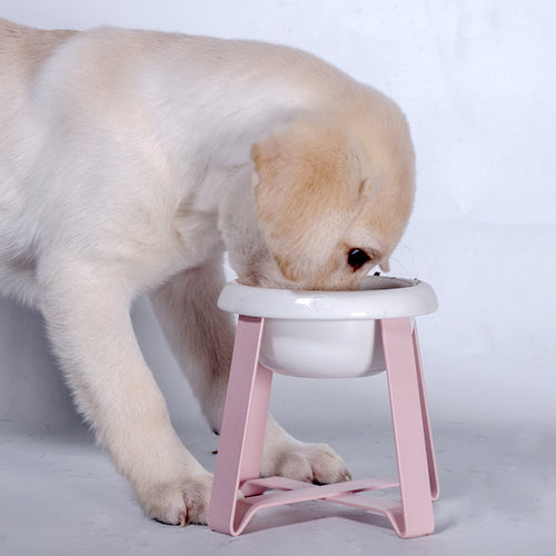 Anti-Slip Elevated Pet Feeding Bowl with Iron Stand – 2-in-1 Food & Water Feeder for Cats & Small Dogs