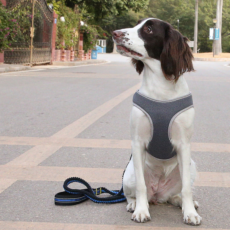 Soft Padded No-Pull Dog Harness – Breathable Vest with Leash for Training & Walking