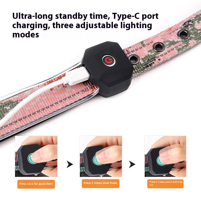 Rechargeable LED Dog Collar – USB Luminous Night Safety Light