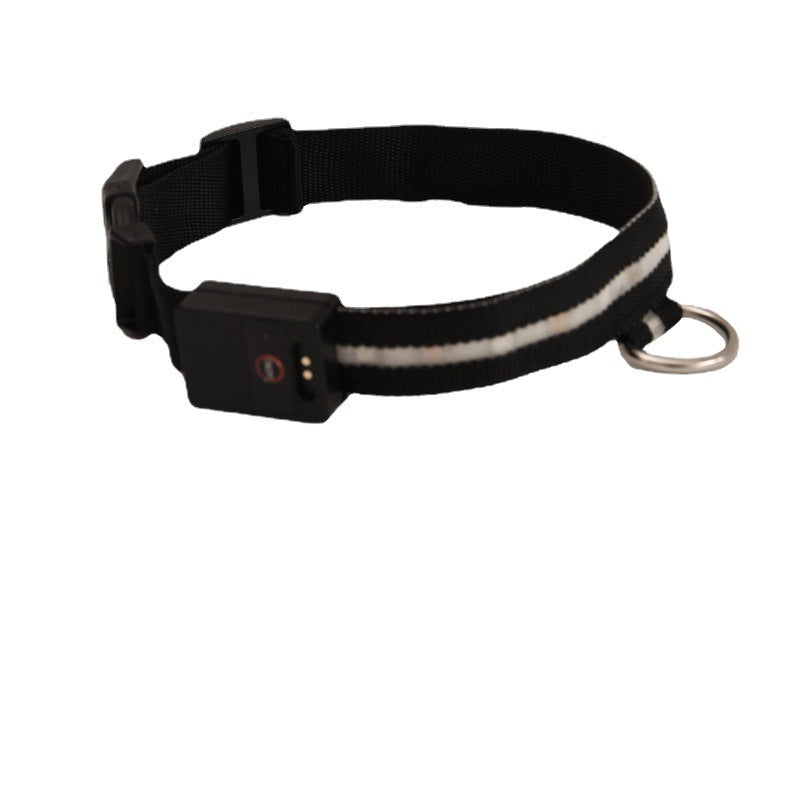 Rechargeable LED Dog Collar – USB Luminous Night Safety Light