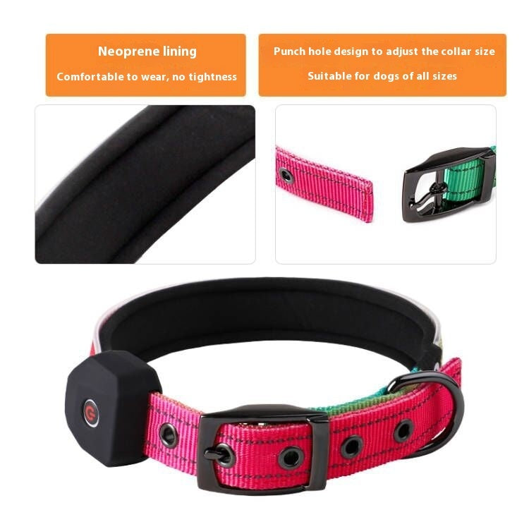 Rechargeable LED Dog Collar – USB Luminous Night Safety Light
