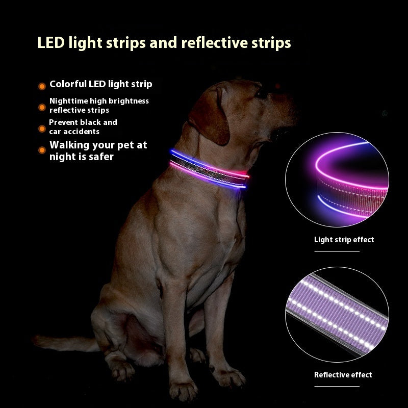 Rechargeable LED Dog Collar – USB Luminous Night Safety Light