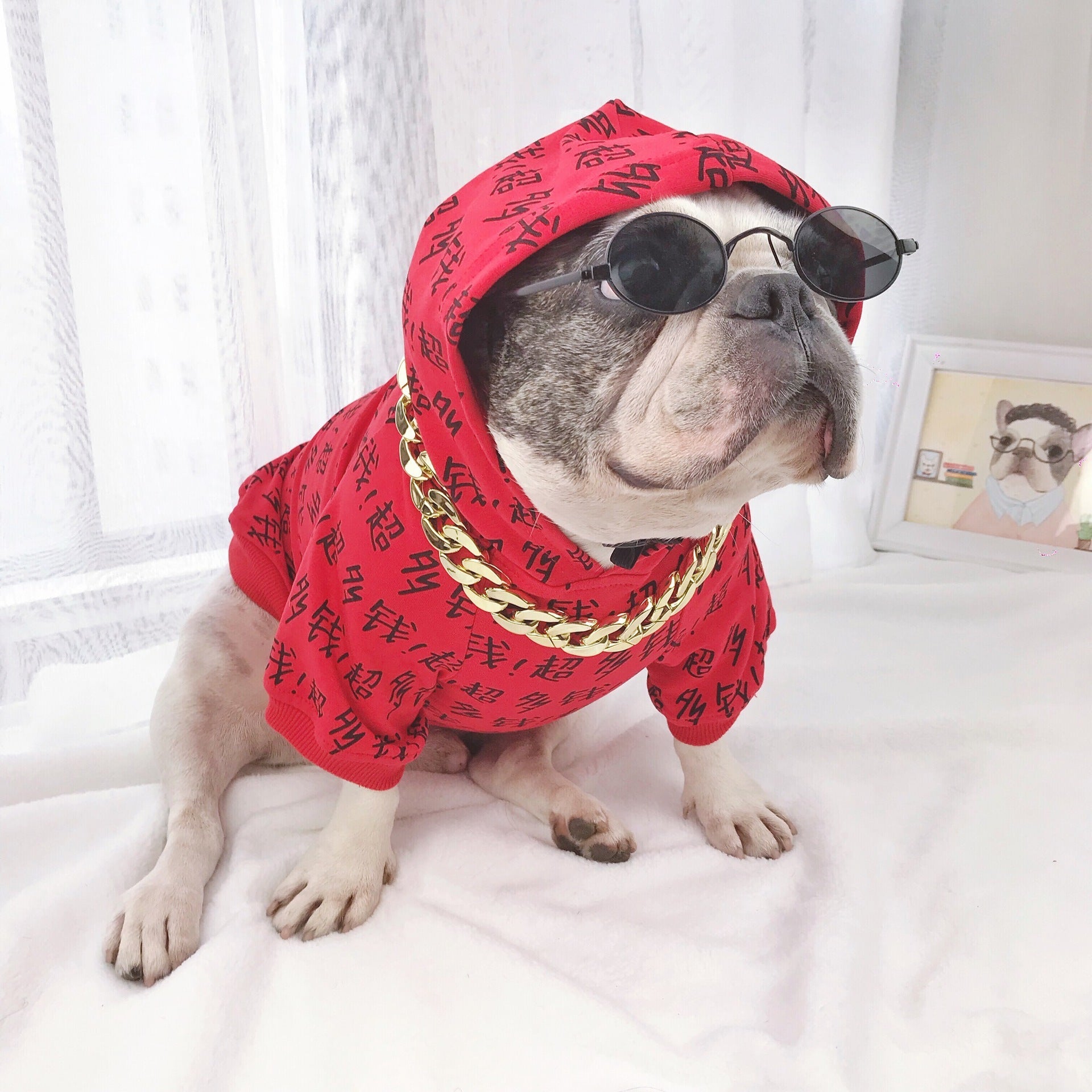 Pawshades™ Elite Dog Eyewear – For the Fashion-Forward Pup
